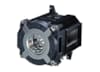 Ampoule pour Datashow NEC NP-PA622U, PA722X, PA672W