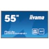 MONITEUR PROFESSIONNEL POUR L AFFICHAGE DYNAMIQUE 55  4K UHD IIYAMA PROLITE