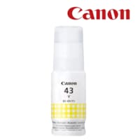Bouteille GI-43 Y