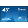 Moniteur Full HD Professionnel 43  (108 cm) avec USB Media Playback 18/7