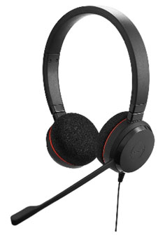 Jabra Evolve 20 MS mono