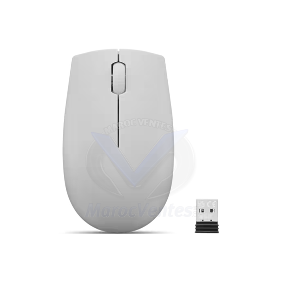 Souris sans fil Lenovo 300 (Arctic Grey) GY51L15678