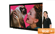 Téléviseurs PLASMA